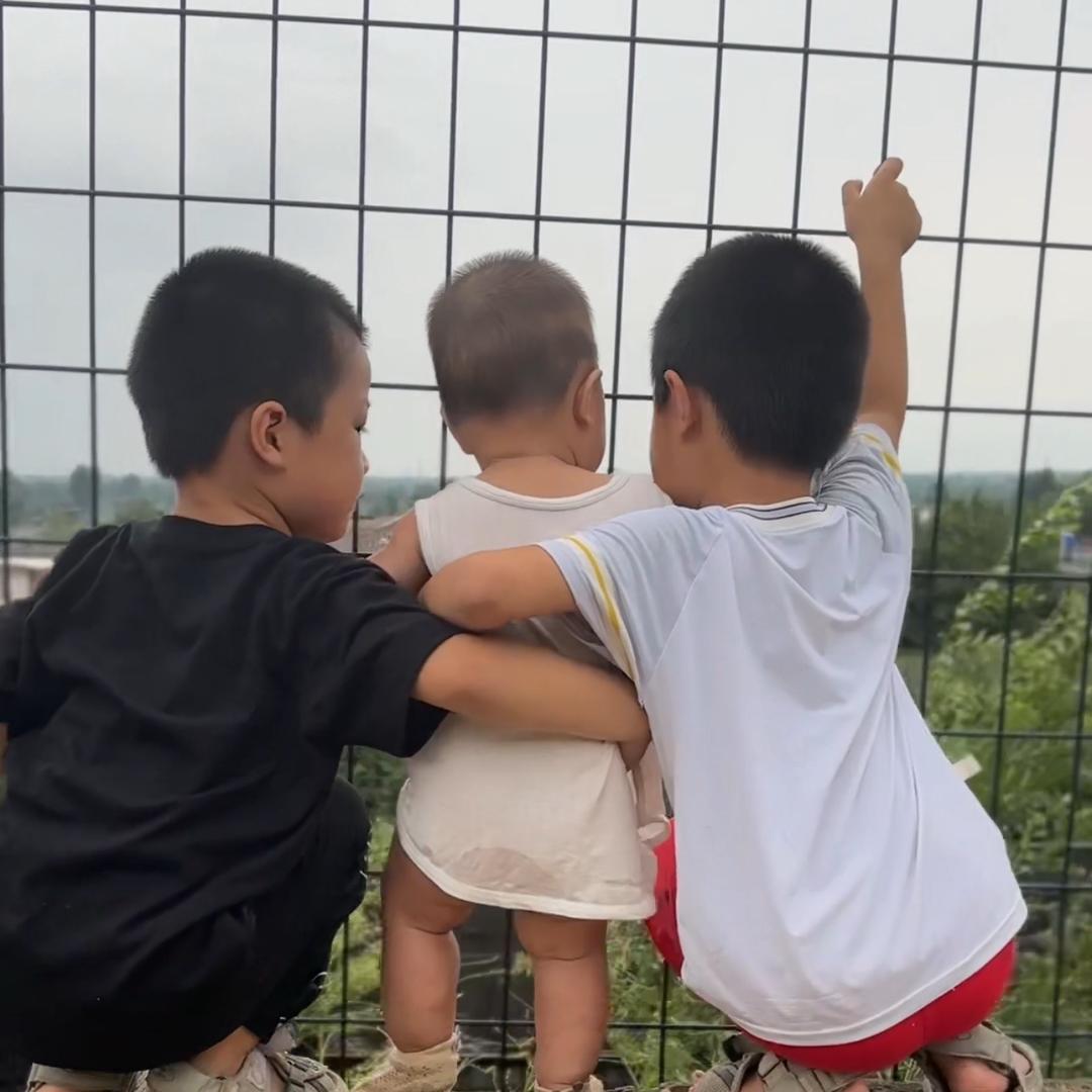 三小只在成长