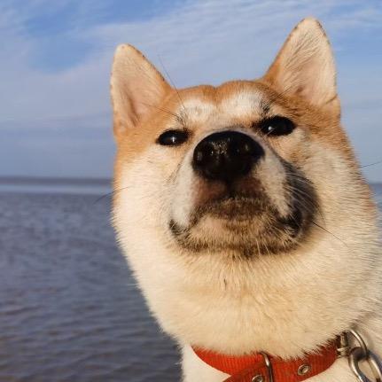 😋