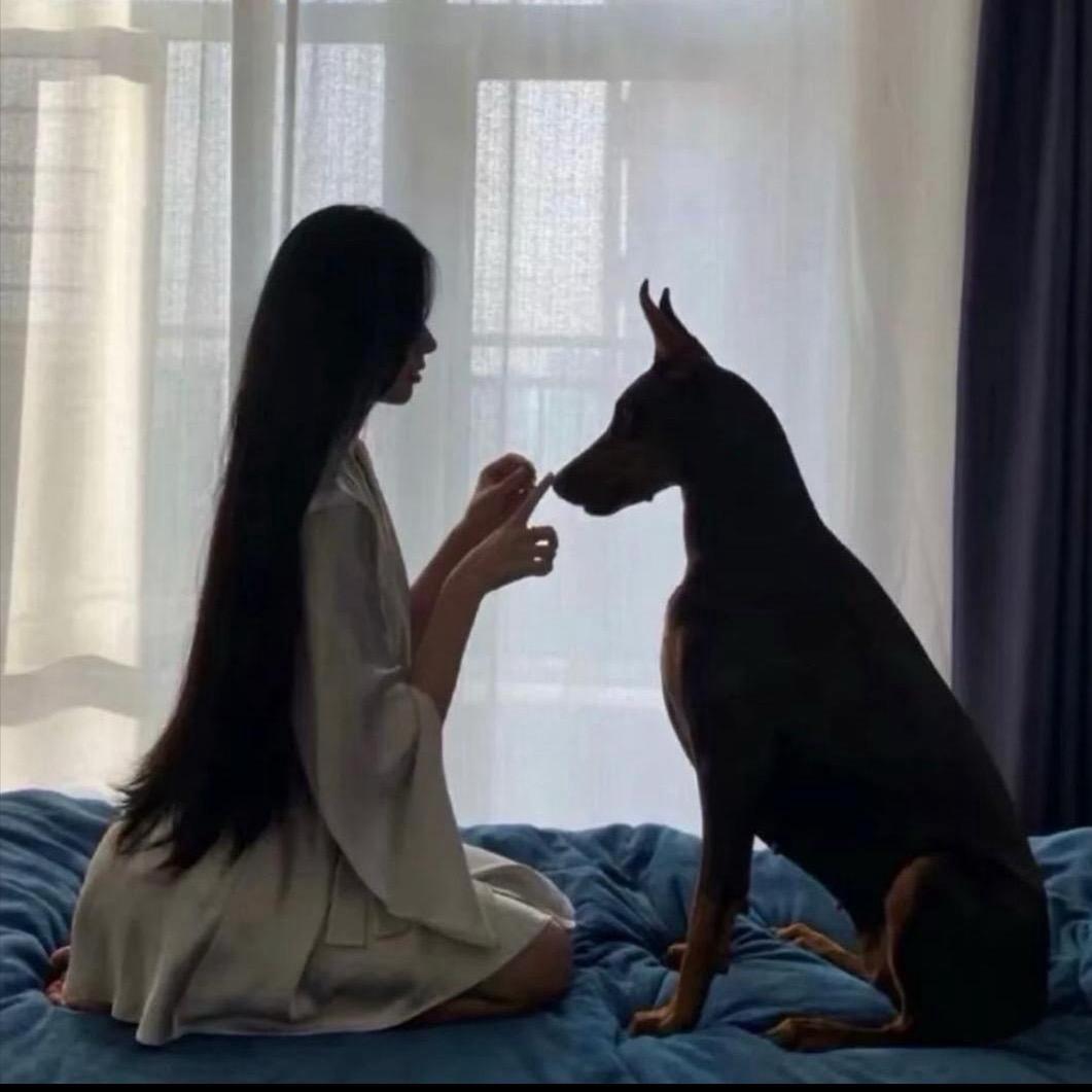 奈奈汽车