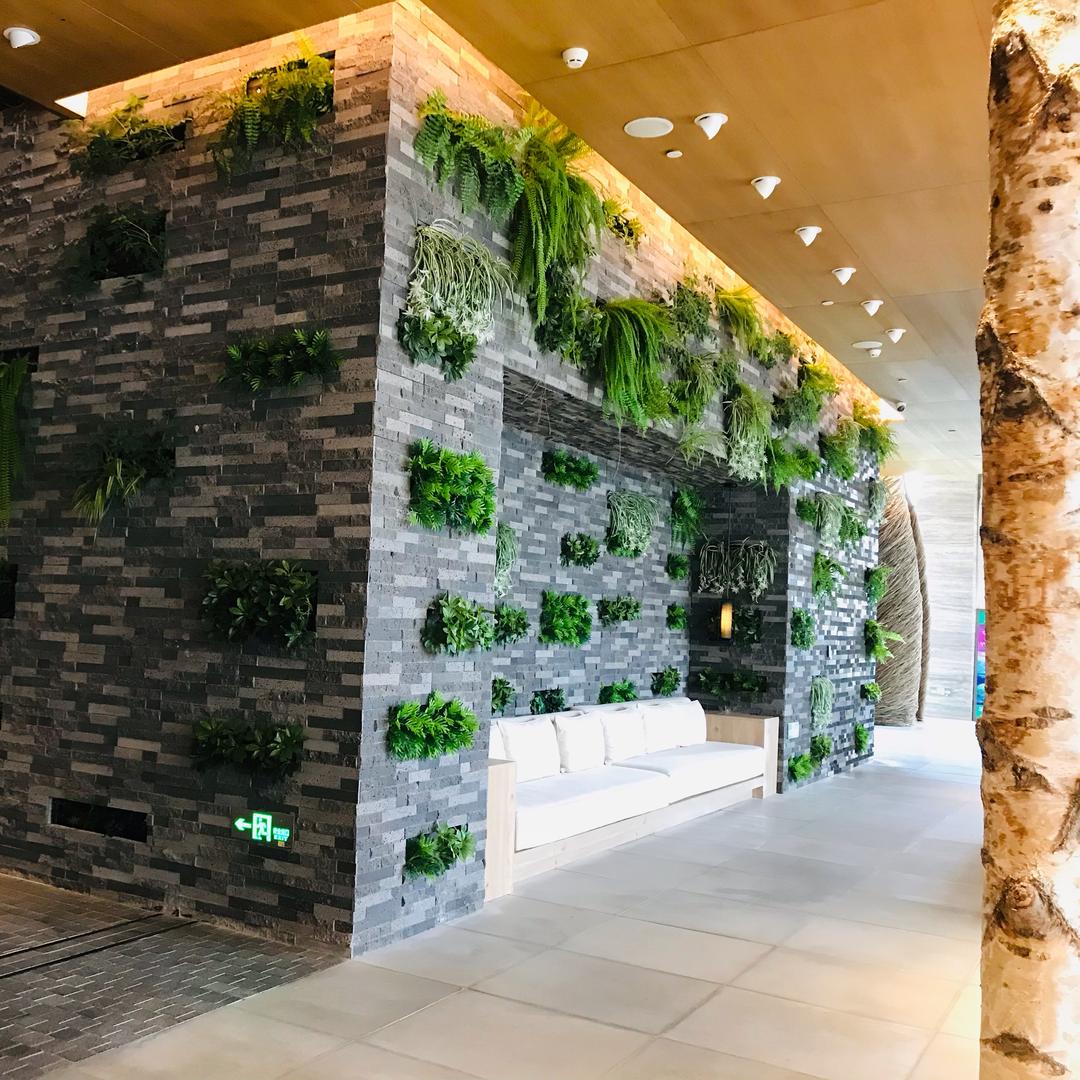 海南畅泽垂直绿化|立体绿化|景观资材供应