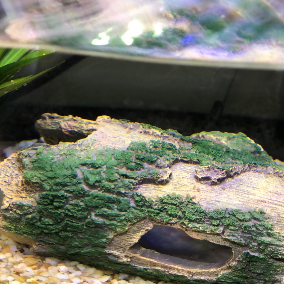 星点点