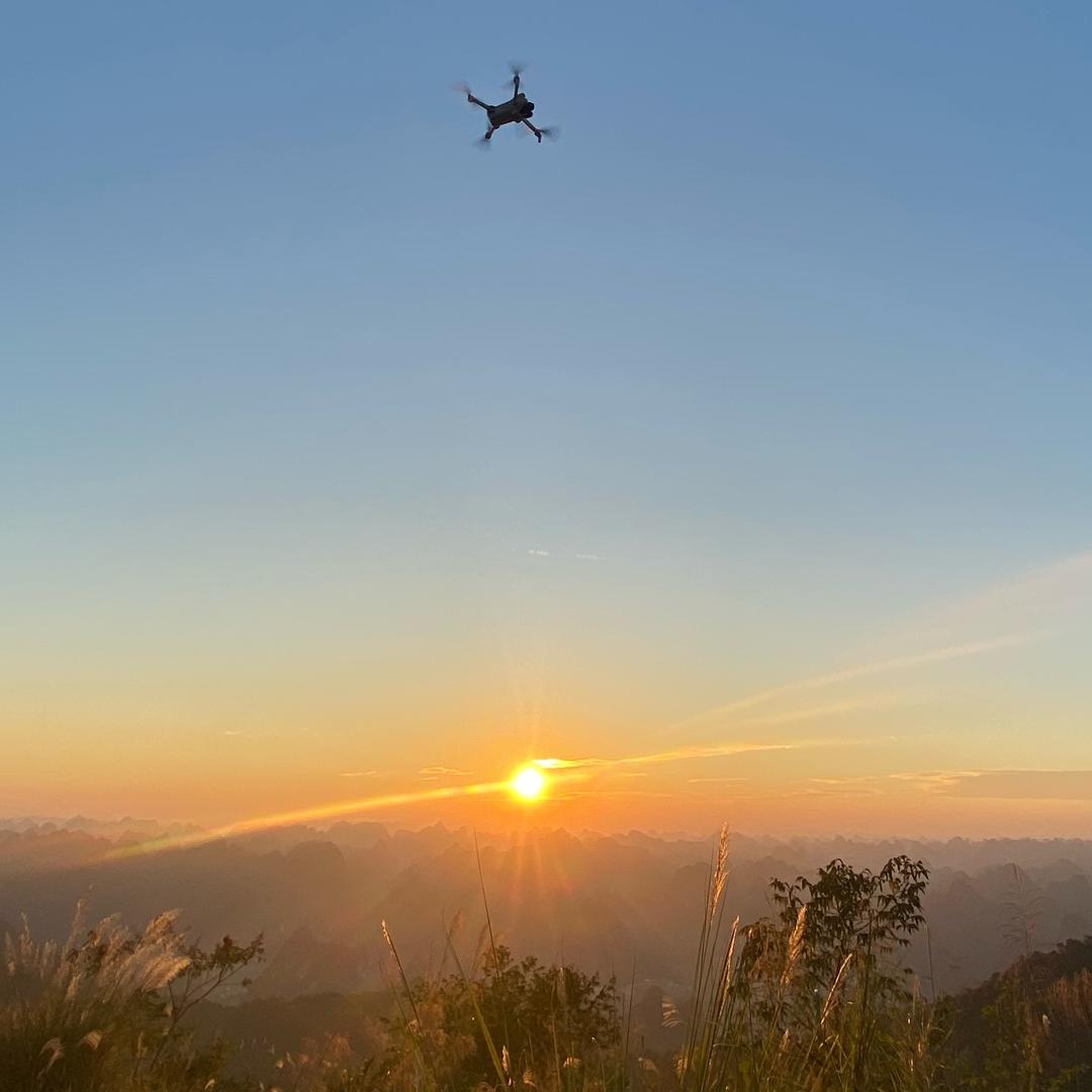 木秀于林风必摧之