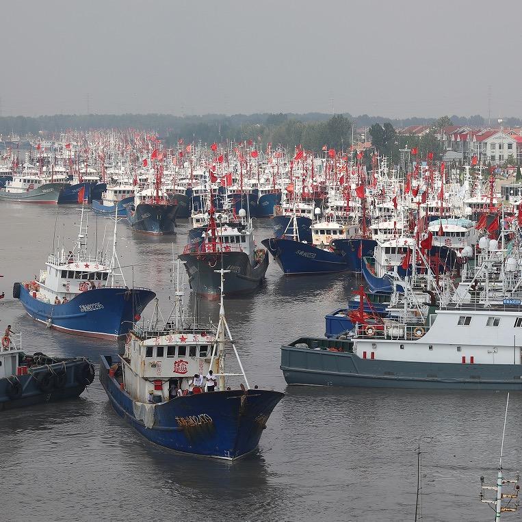 三色海海产品大集市