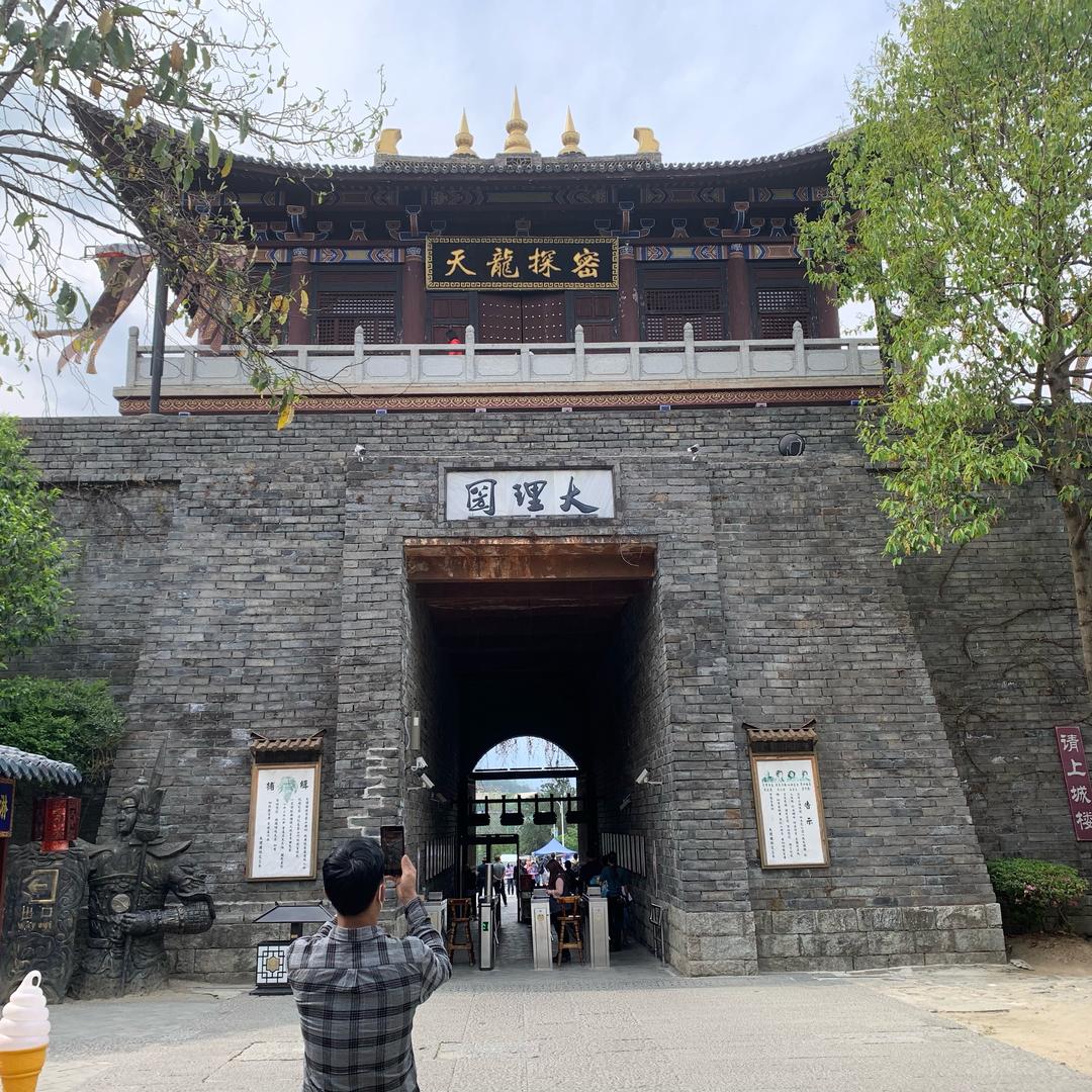呆呆鸟