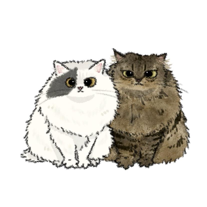 坏猫Meow Nails