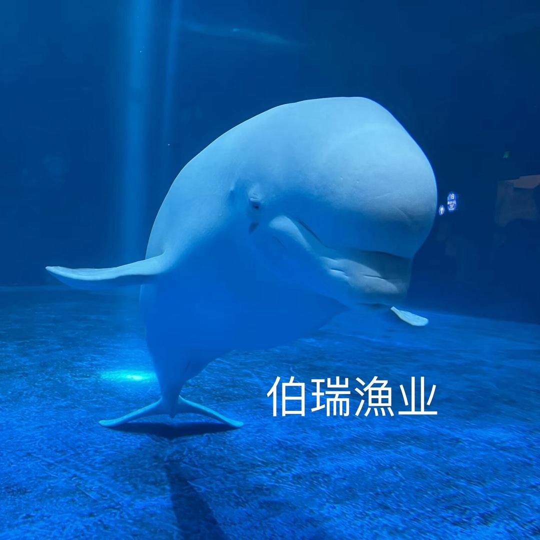 鱼乐圈｜瑞¹⁹⁷⁸