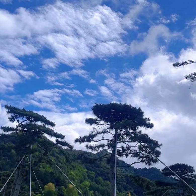 挖机彭哥，