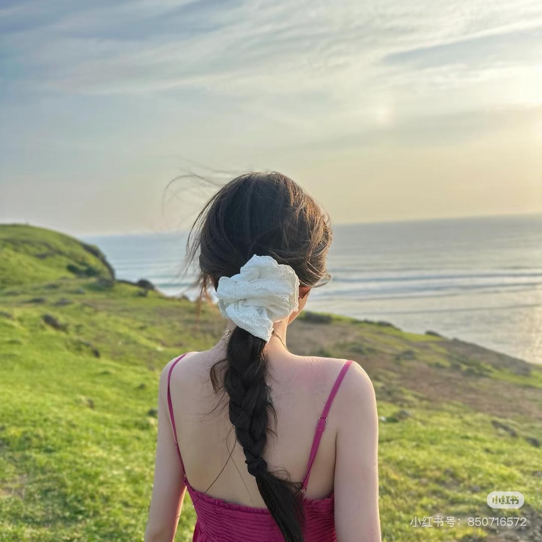 海绵宝宝Zz