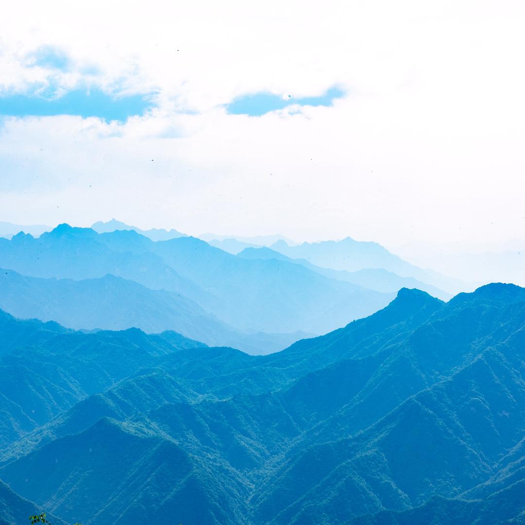 张亚军沙漠治理