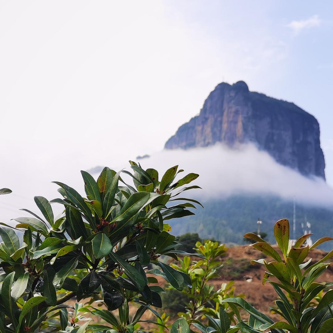 仙居十里杨场生态农场