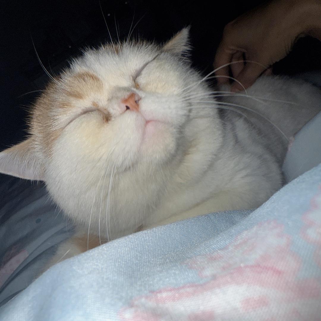 平安❤️喜乐