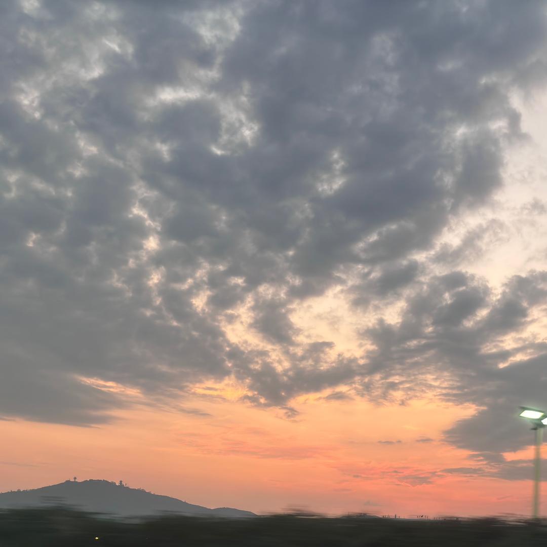青衫入雨