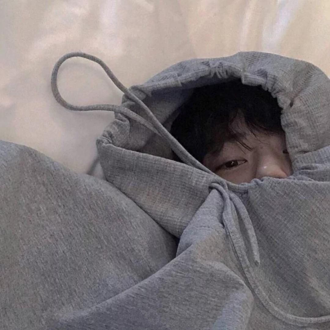 小鲨鱼