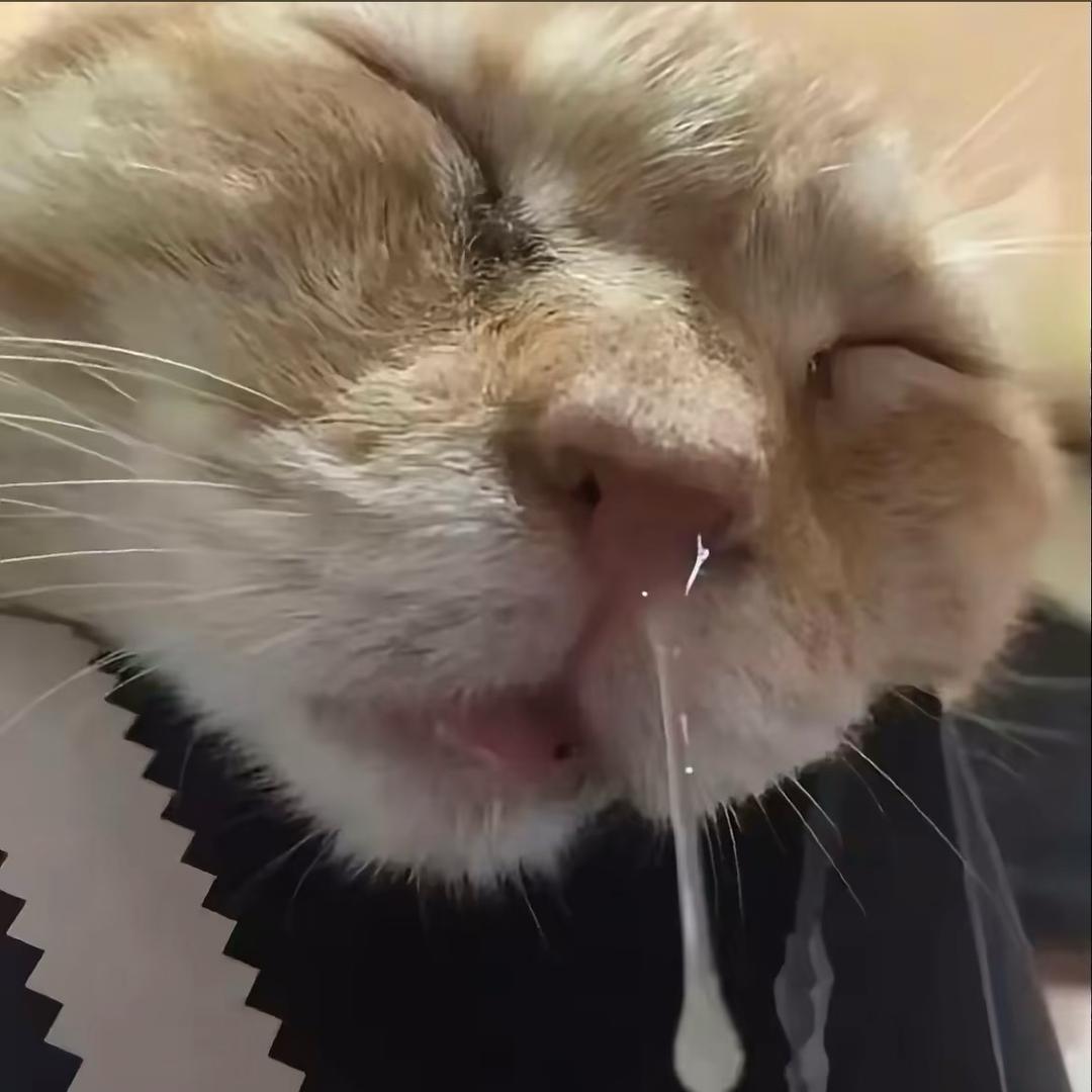 yohurtme