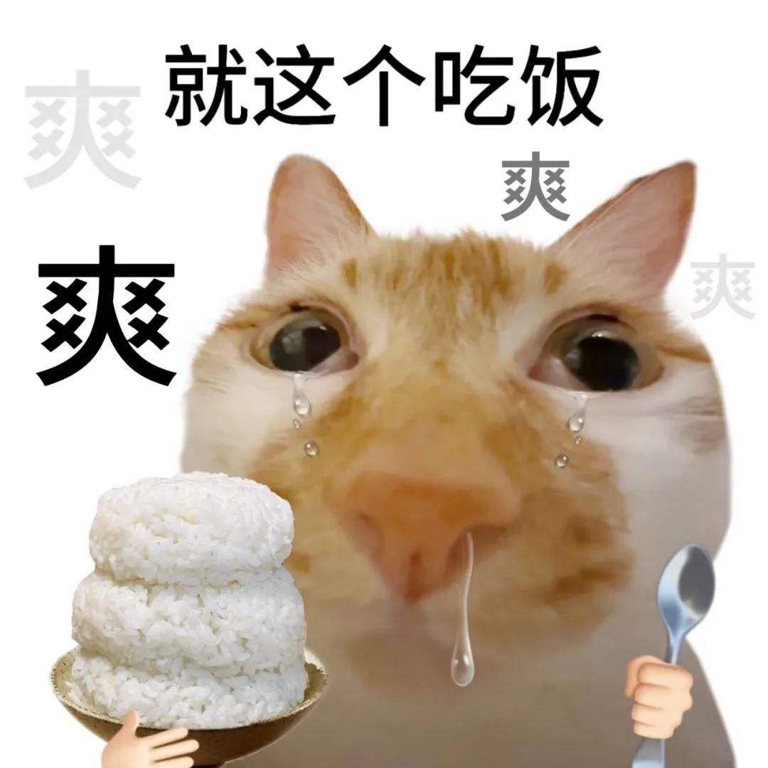 没有吃饭诶