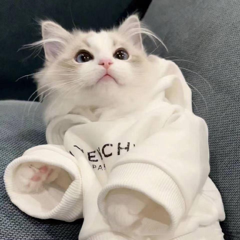 曉鹏