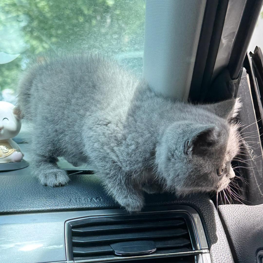 想吃加辣的火锅er