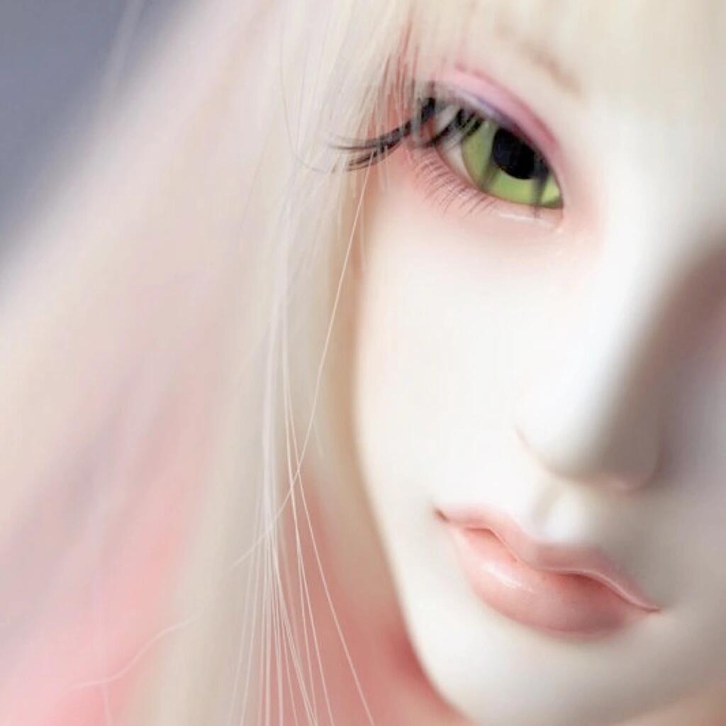 智依