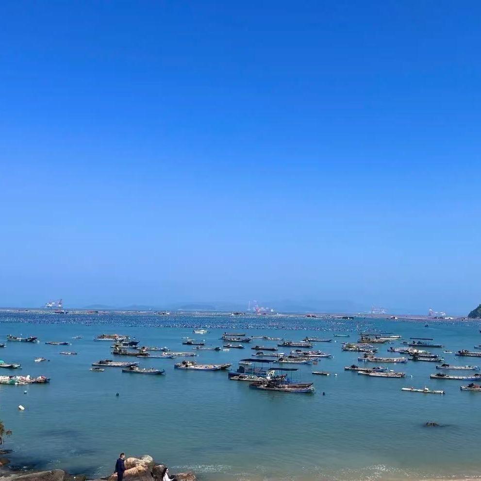 自强不息17