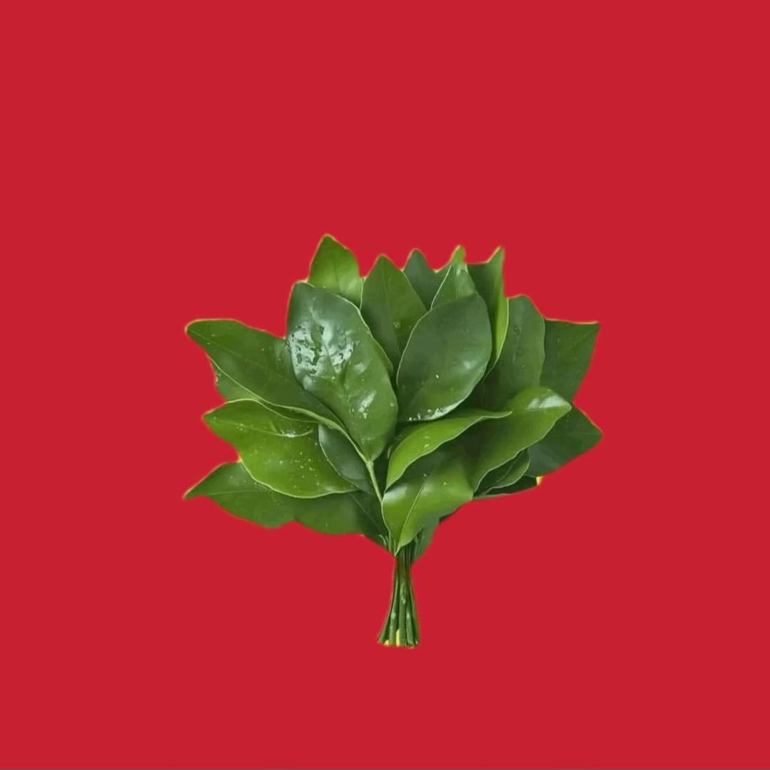 逼性海尔