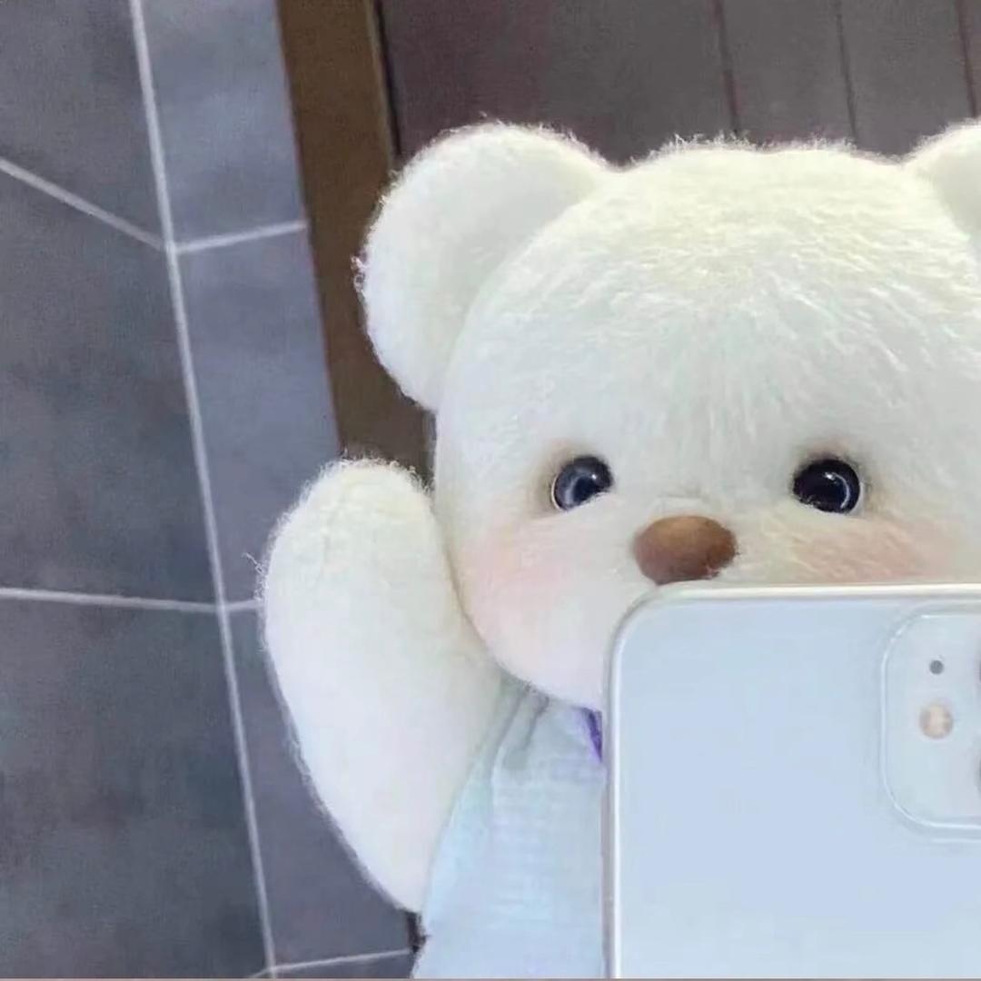 喵喵ᰔᩚ