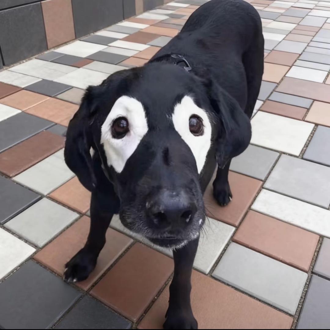 今天也是一如既往