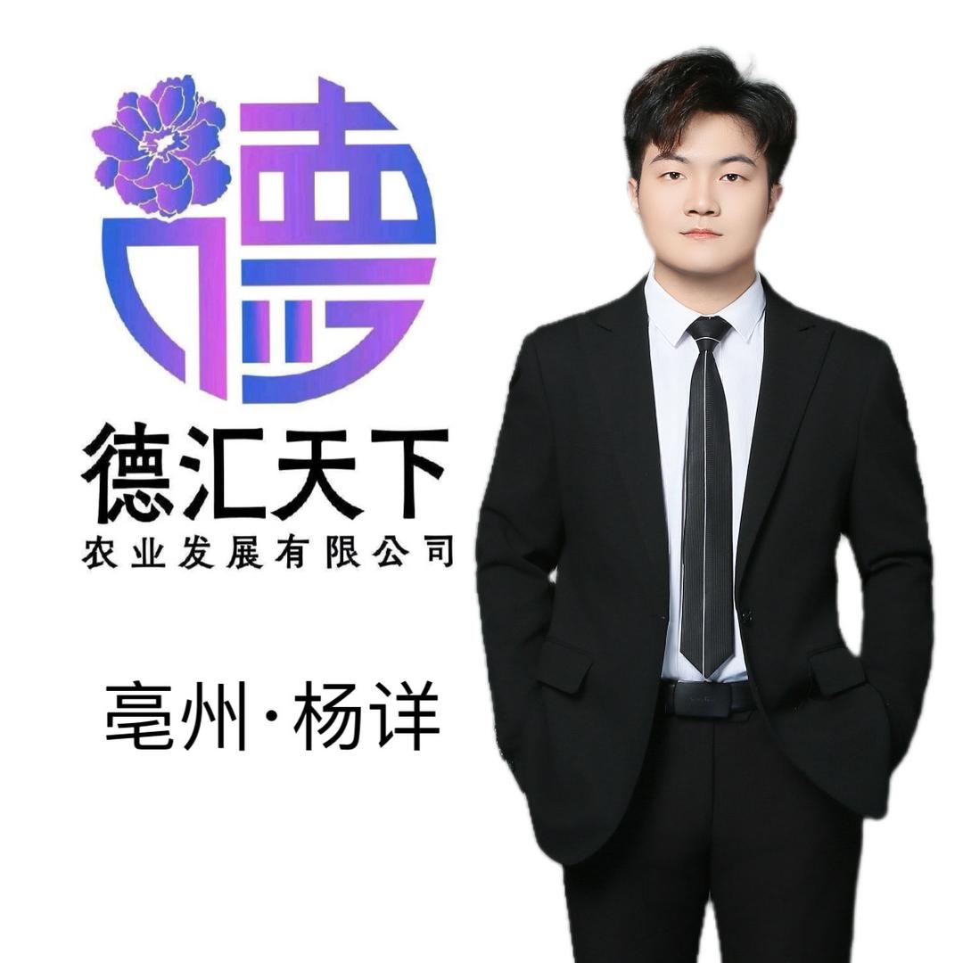 德汇天下杨详老师