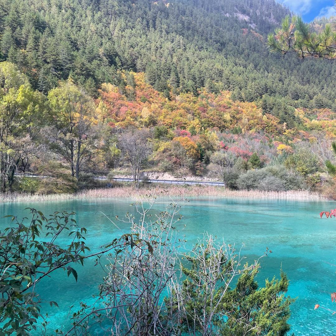 四川旅游领队小晟
