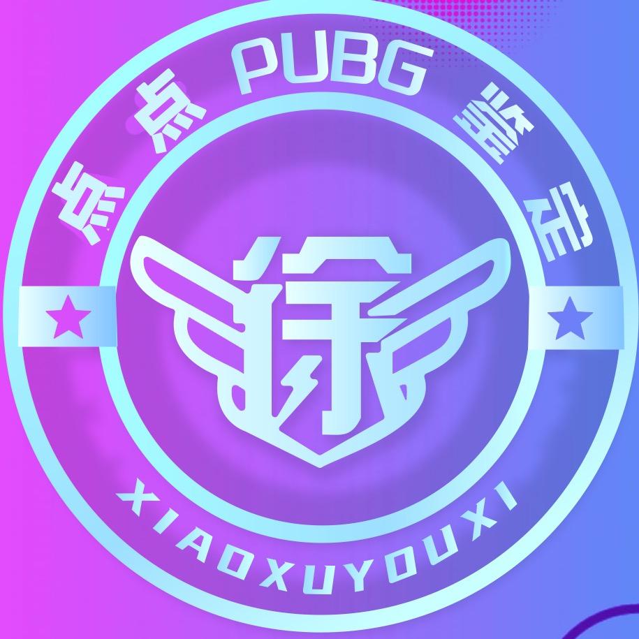 小徐阁-PUBG评估（点点）
