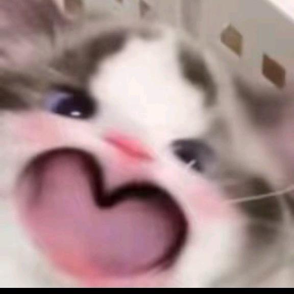 用户10840930220