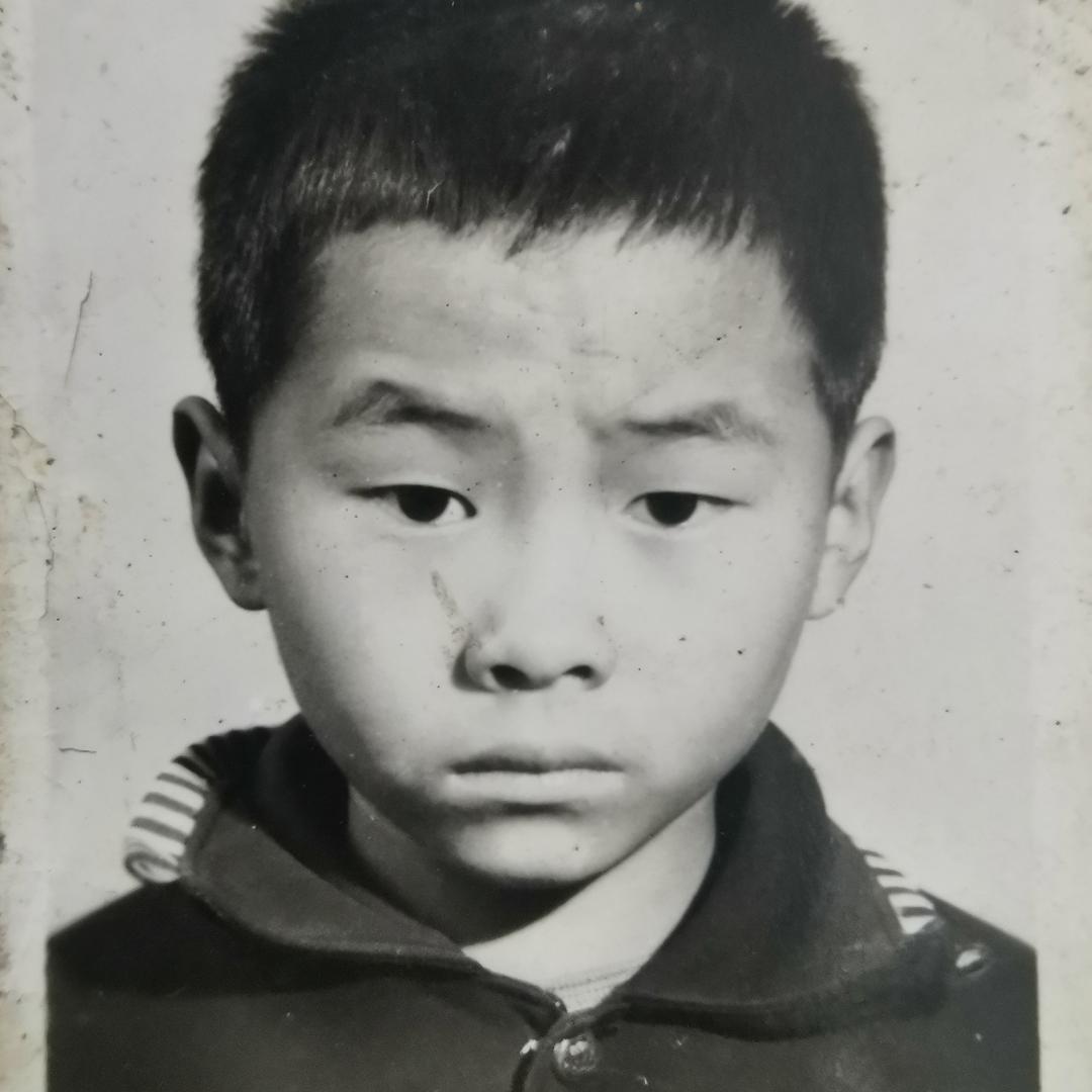大能猫的熊