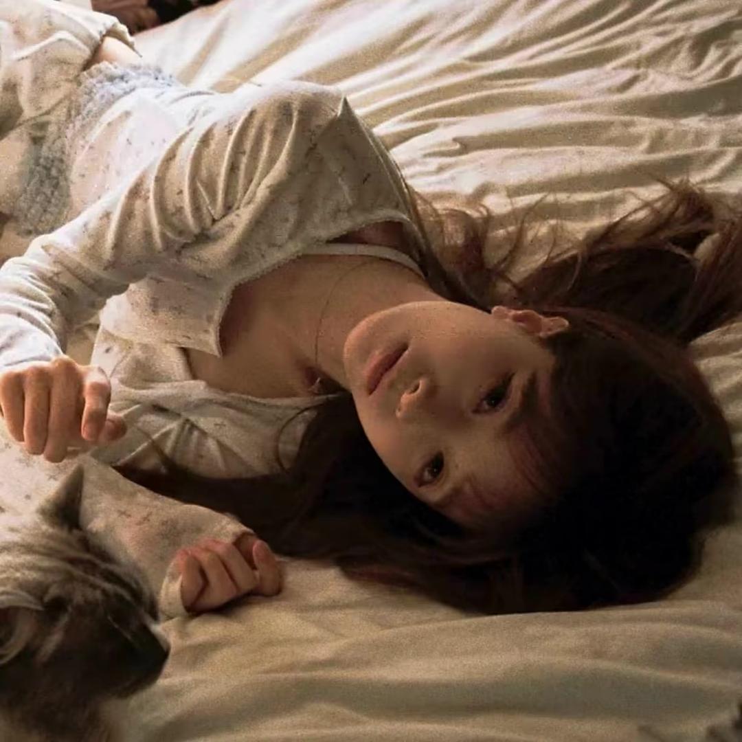会飞的前女友