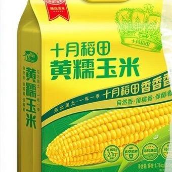 十月稻田
