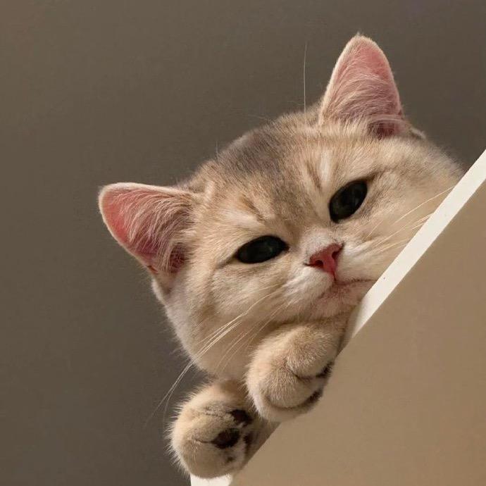 饭小王的轻食零食✨