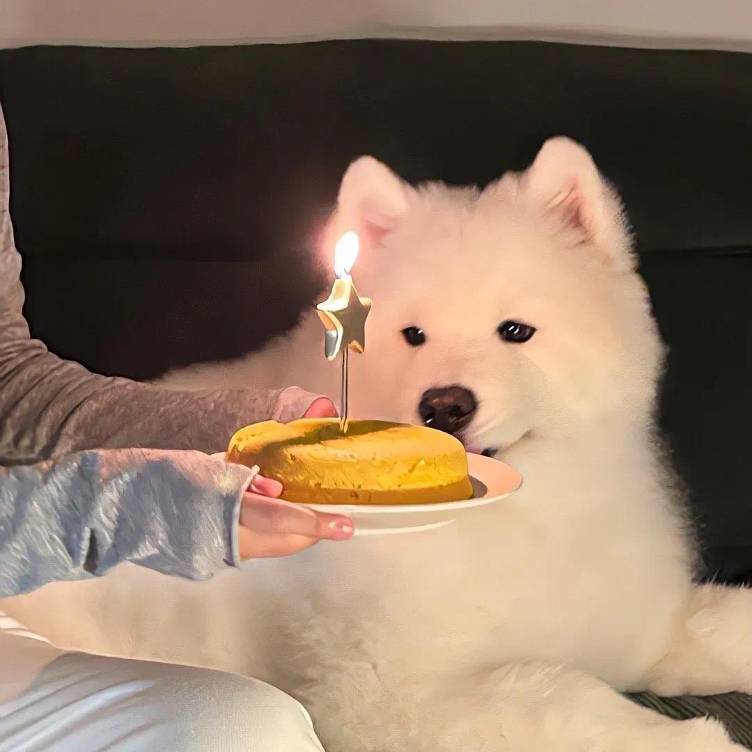 涵凌🐾
