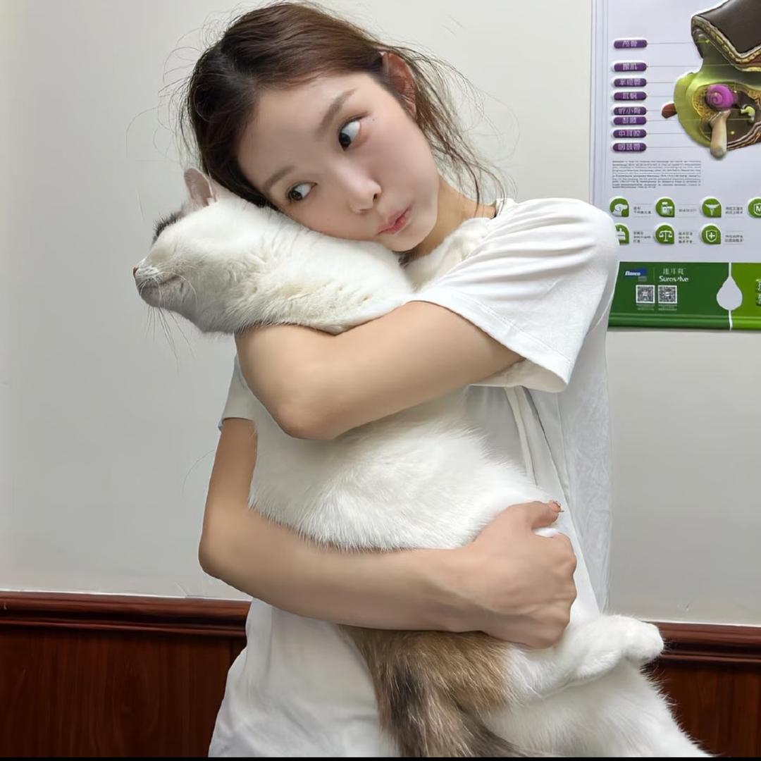 疗伤烧肉粽