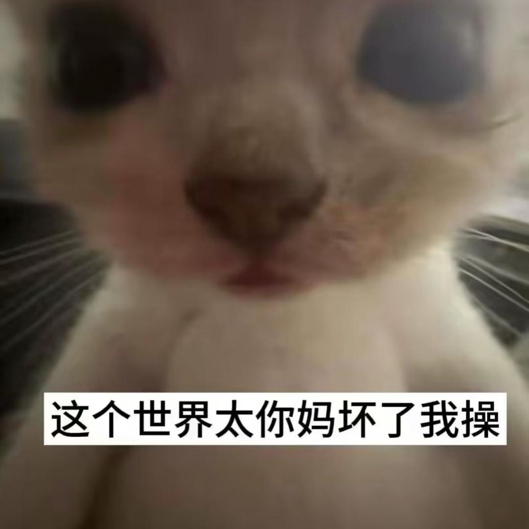 好想吃饭🍚