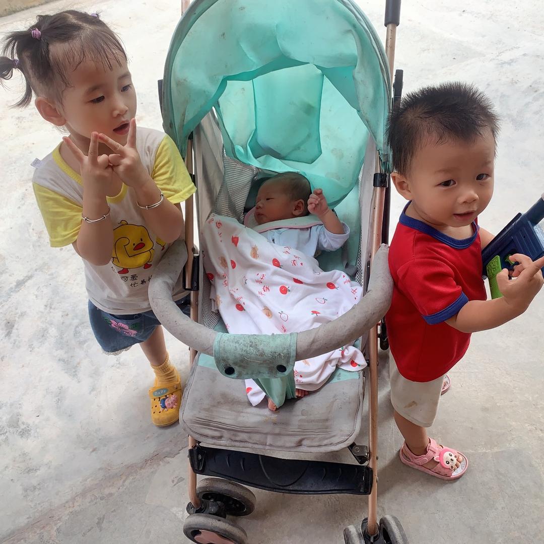 菡扬茗爱生活🥰