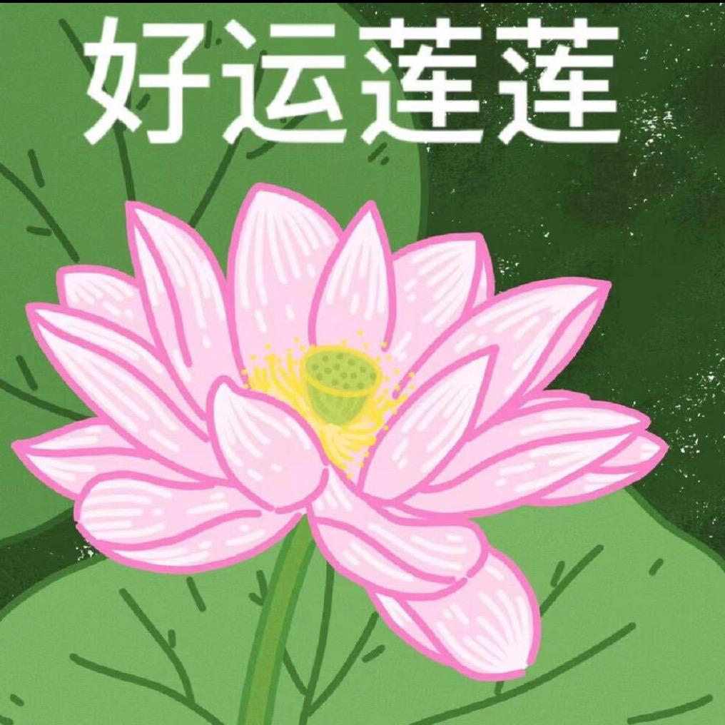 小哈（好运版）