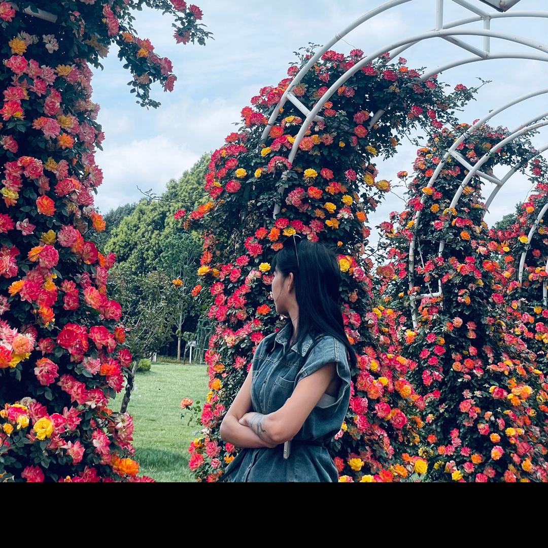 是云不是芸🍭