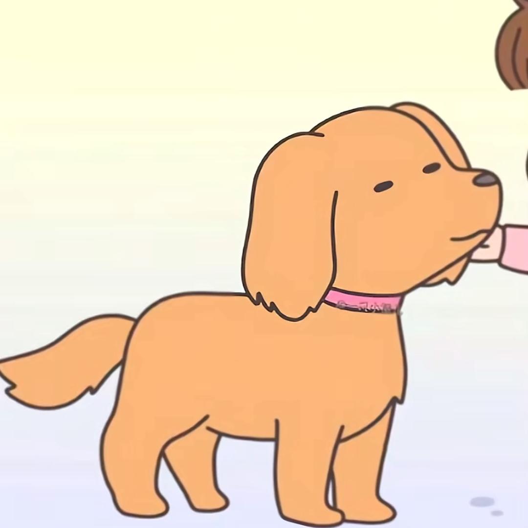 我是小桔大王的狗