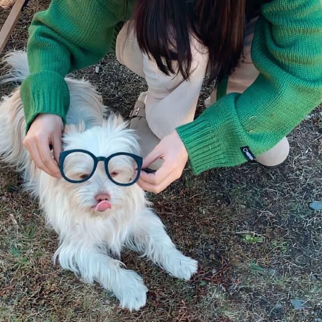 澎彭彭