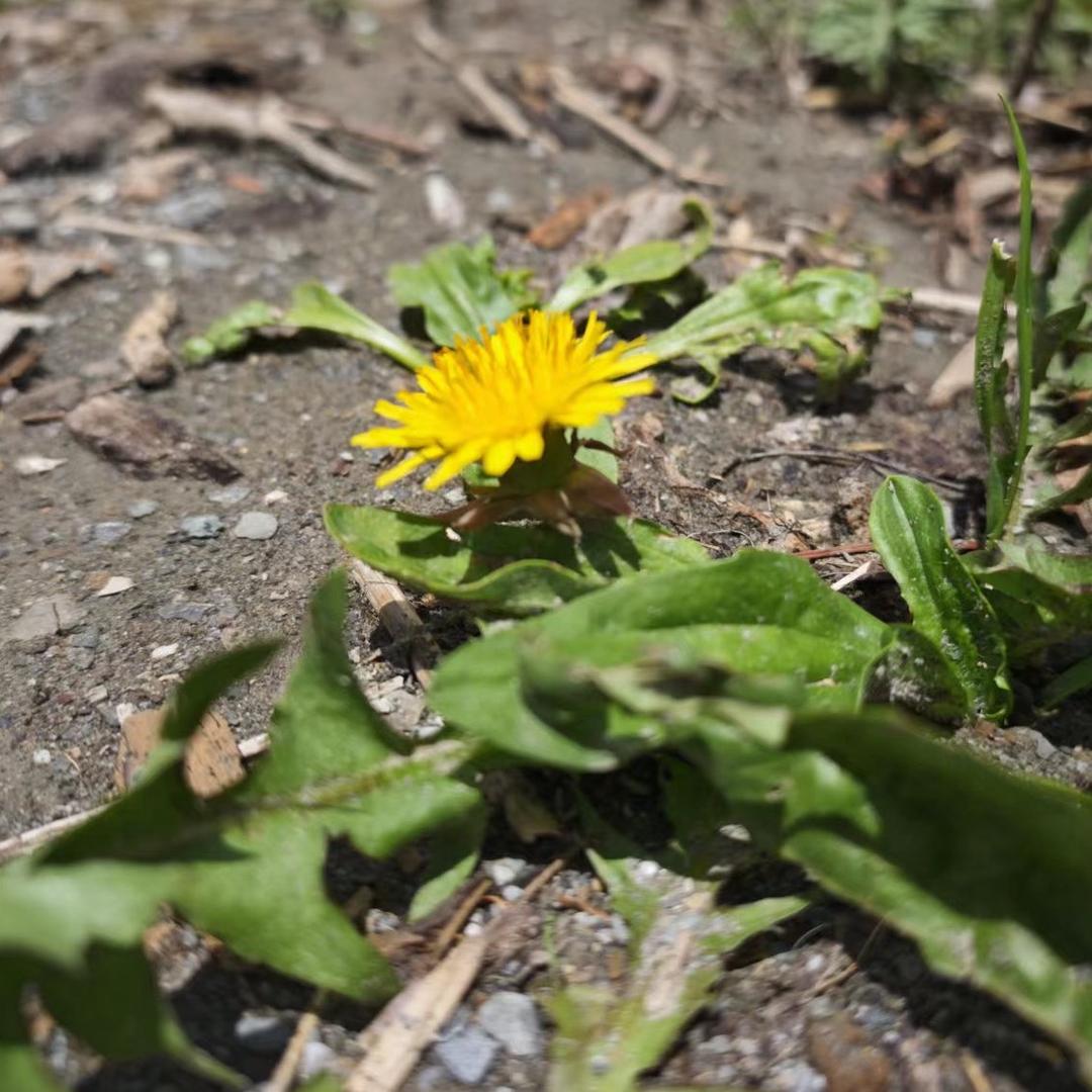 乐享百湖 来自磴口