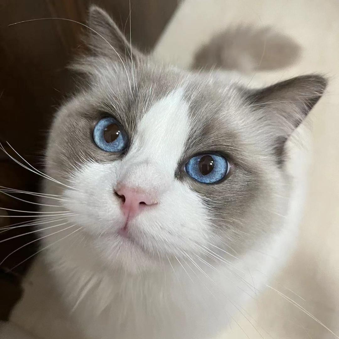 瑜