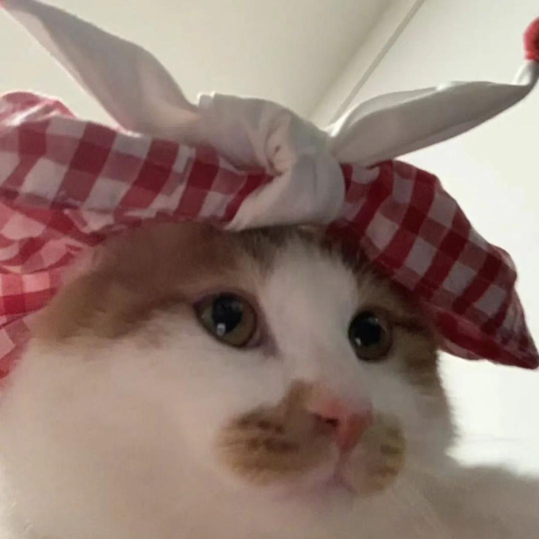 🍉。