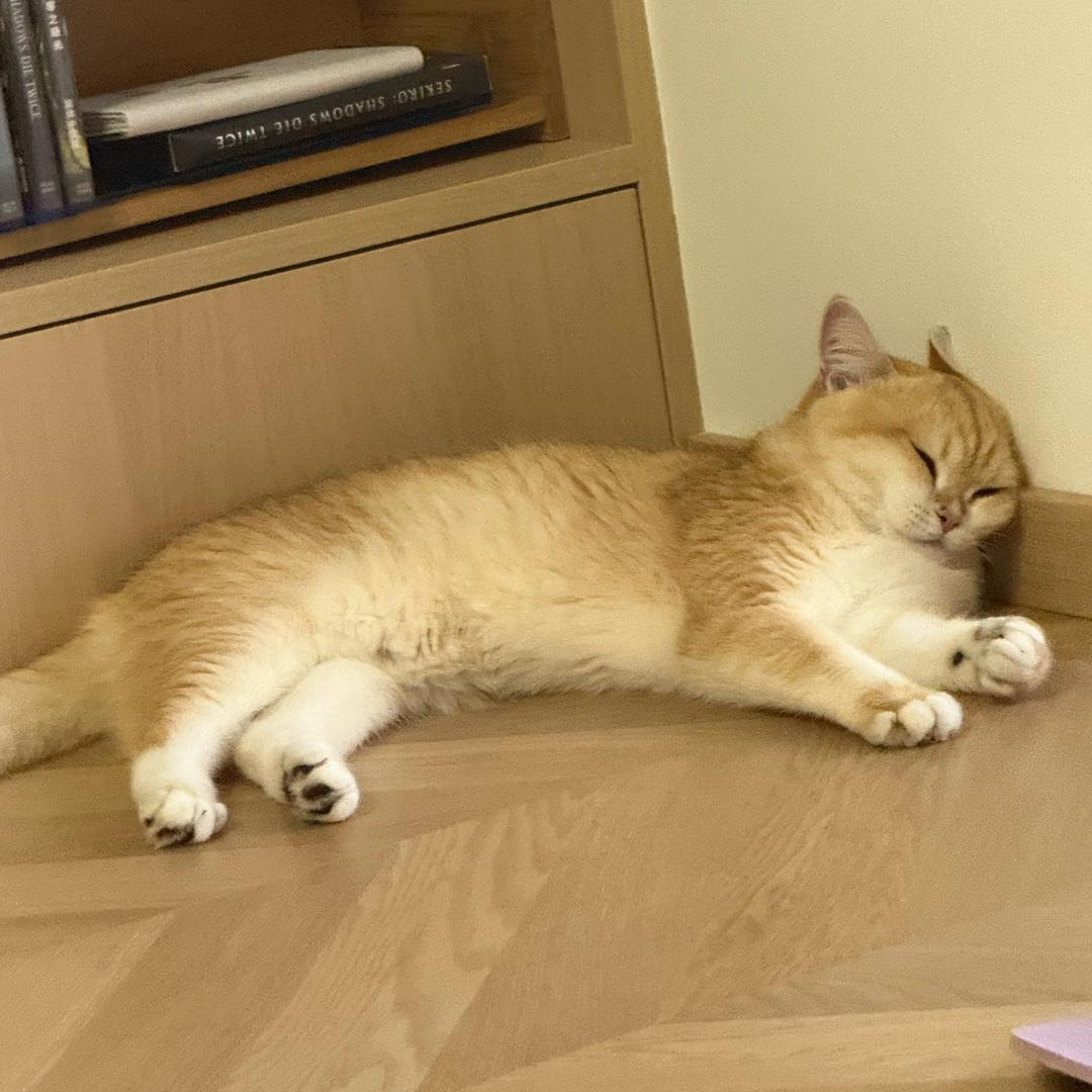 生活不易打游戏卖艺