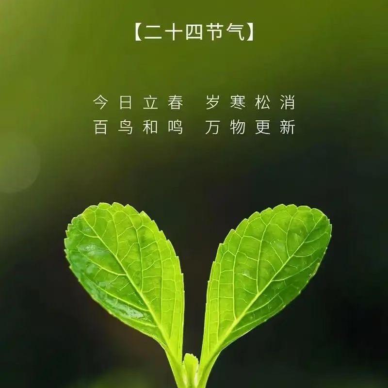 小刘同学