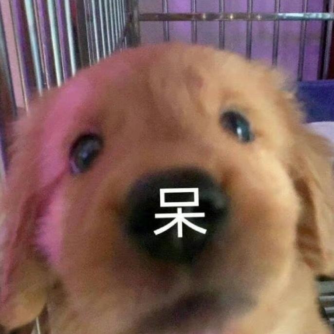 你别再飞走了.