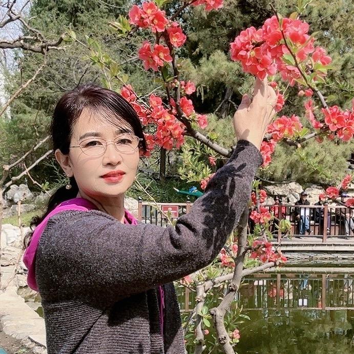 芝姐