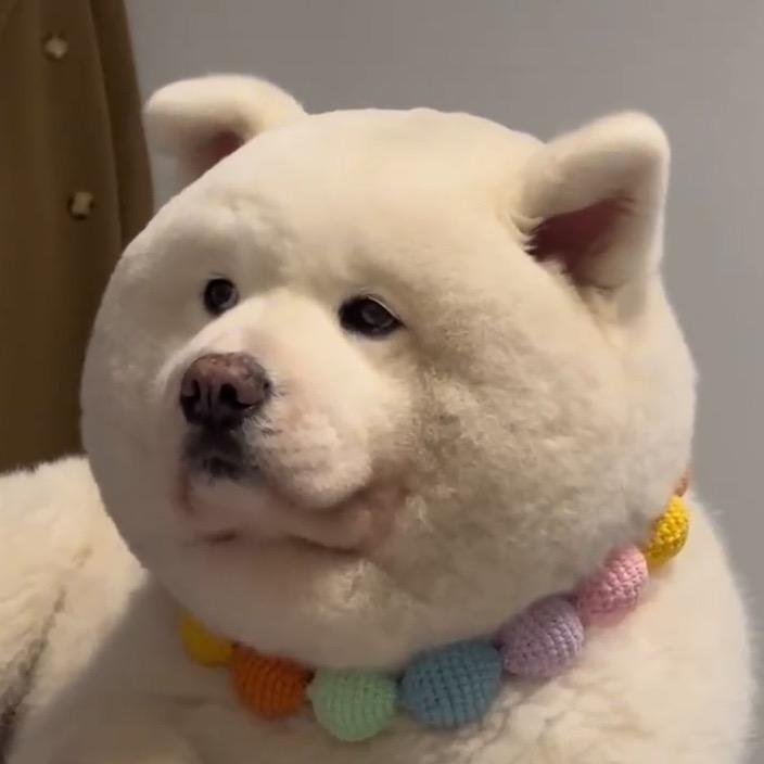 杨滴滴